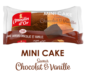 mini cake chocolat